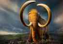 Mamut