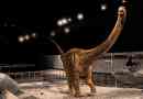 Vědci našli pozůstatky nejdelší dinosaury