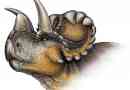 Vědci objevili nový druh dinosaurů - vendiceratops