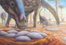 Vědci určili tělesnou teplotu dinosaurů: vejce skořápka pomohla