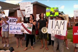 Americké zoofery poptávku od orgánů, aby poskytli vraha lion cecil Americké zoofery poptávku od orgánů, aby poskytli vraha lion cecil