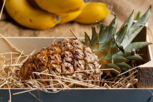 Ananas Ananas