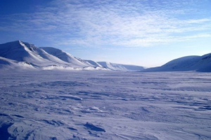 Arktická poušť Arktická poušť