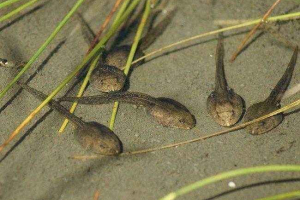 Co je to sakra jíst?