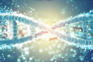 Co jsou geny? Koncepce, odrůdy, mutace a dědičnost