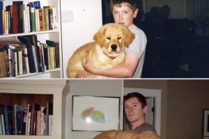 Domácí zvířata po mnoha letech: fotky z rodinných archivů