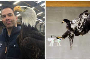 Holandští orli proti dronům - stráž