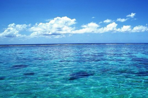 Ekologické problémy oceánů Ekologické problémy oceánů