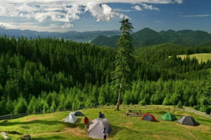 Ecotourism v rusku a světa: populární směry a jejich funkce