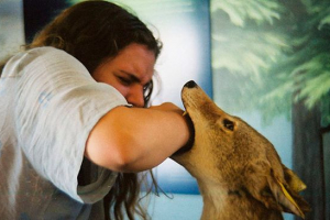 Co sny o kousnutí psí?