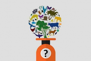 Jaká je celková hmotnost živého agenta v biosféře země? Jaká je celková hmotnost živého agenta v biosféře země?