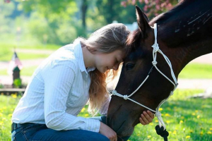 Kliknutí pro koně - jak bylo uvedeno?