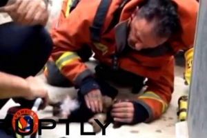 Kolumbijská policie zachránila psa, který spadl do bouřlivého potoka