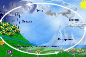 Voda v přírodě Voda v přírodě