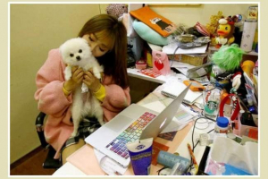 Pracovat - s domácím mazlíčkem! Nový čip v kancelářích šanghaji