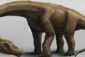 Na území argentiny našel nový typ dinosaurů Na území argentiny našel nový typ dinosaurů