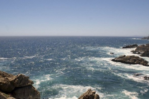 Našel stvoření s hlavou, ale bez těla