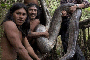 Zjistil nejdelší had na světě