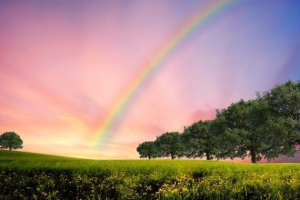 Proč se objeví duha?