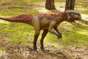 Pod schody domu v číně našel kosti a vejce dinosaurus Pod schody domu v číně našel kosti a vejce dinosaurus