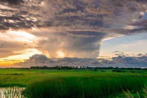Příklady sezónních jevů živého a neživého přírody
