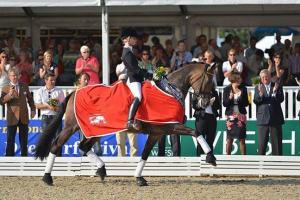 Hodnocení nejdražších plemen koní