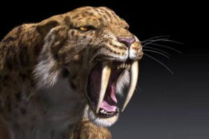 Saber-toothed tiger