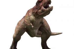 Tarotický Tarotický