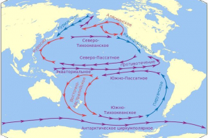 Pacifik toky - studené a teplé, charakteristiky a mapa Pacifik toky - studené a teplé, charakteristiky a mapa