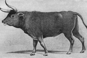 Prohlídka Prohlídka