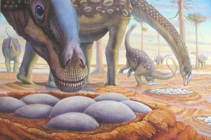 Vědci určili tělesnou teplotu dinosaurů: vejce skořápka pomohla Vědci určili tělesnou teplotu dinosaurů: vejce skořápka pomohla
