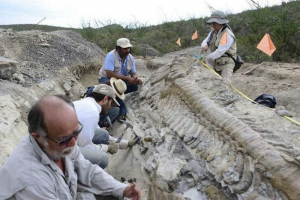 Vědci z celého světa hledají pozůstatky dinosaurů na vologdu