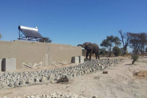 V zimbabwe vybudovala neobvyklá toaleta