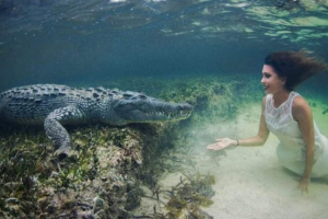 Video, na kterém roberta mancino uspořádal fotografickou relaci s krokodýlem, byl hit internet Video, na kterém roberta mancino uspořádal fotografickou relaci s krokodýlem, byl hit internet