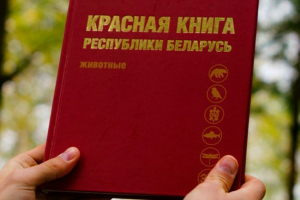 Zvířata červené knihy běloruska